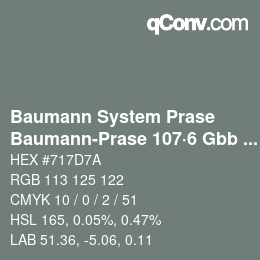 Código de color: Baumann System Prase - Baumann-Prase 107·6 Gbb 5 | qconv.com