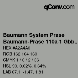 Code couleur: Baumann System Prase - Baumann-Prase 110a·1 Gbb 5½ | qconv.com