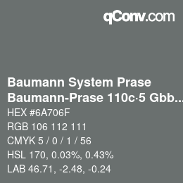 Code couleur: Baumann System Prase - Baumann-Prase 110c·5 Gbb 5½ | qconv.com