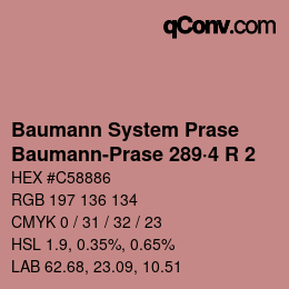Color code: Baumann System Prase - Baumann-Prase 289·4 R 2 | qconv.com