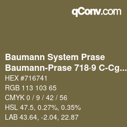 Color code: Baumann System Prase - Baumann-Prase 718·9 C-Cg 7 | qconv.com