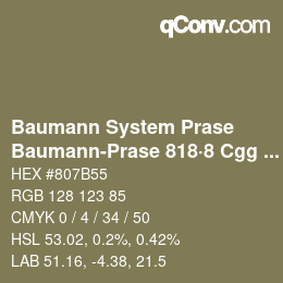 Code couleur: Baumann System Prase - Baumann-Prase 818·8 Cgg 6 | qconv.com