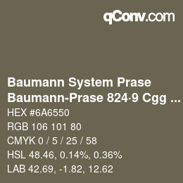 Code couleur: Baumann System Prase - Baumann-Prase 824·9 Cgg 7 | qconv.com