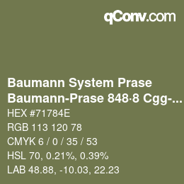 カラーコード: Baumann System Prase - Baumann-Prase 848·8 Cgg-Gcc 5 | qconv.com