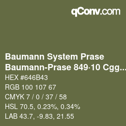 Color code: Baumann System Prase - Baumann-Prase 849·10 Cgg-Gcc 5 | qconv.com