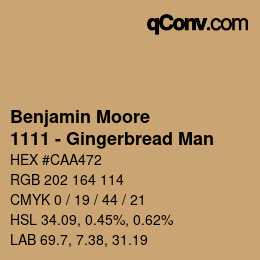 Color code: Benjamin Moore - 1111 - Gingerbread Man | qconv.com