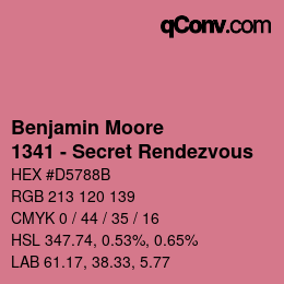 Color code: Benjamin Moore - 1341 - Secret Rendezvous | qconv.com