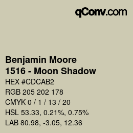 Color code: Benjamin Moore - 1516 - Moon Shadow | qconv.com
