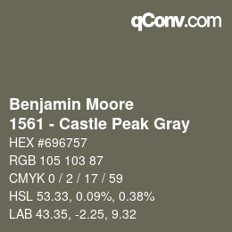 Color code: Benjamin Moore - 1561 - Castle Peak Gray | qconv.com