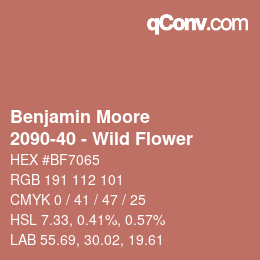 Code couleur: Benjamin Moore - 2090-40 - Wild Flower | qconv.com