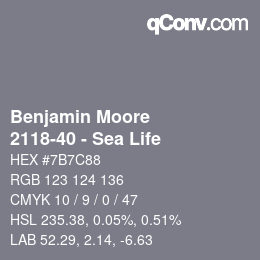 Código de color: Benjamin Moore - 2118-40 - Sea Life | qconv.com
