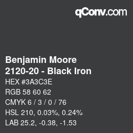 Color code: Benjamin Moore - 2120-20 - Black Iron | qconv.com