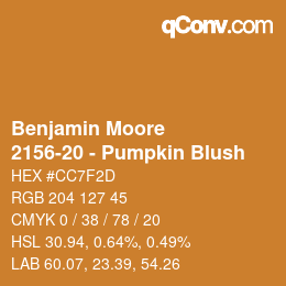Code couleur: Benjamin Moore - 2156-20 - Pumpkin Blush | qconv.com