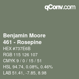 Color code: Benjamin Moore - 461 - Rosepine | qconv.com