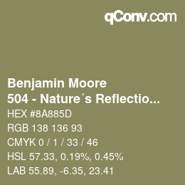 Color code: Benjamin Moore - 504 - Nature´s Reflection | qconv.com