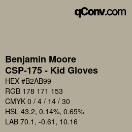 Color code: Benjamin Moore - CSP-175 - Kid Gloves | qconv.com