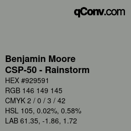 Color code: Benjamin Moore - CSP-50 - Rainstorm | qconv.com