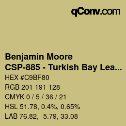 Color code: Benjamin Moore - CSP-885 - Turkish Bay Leaf | qconv.com