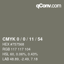 Color code: CMYK 0 / 0 / 11 / 54 | qconv.com
