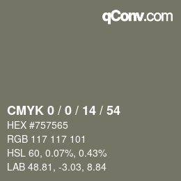 Color code: CMYK 0 / 0 / 14 / 54 | qconv.com