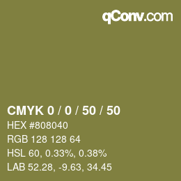 Code couleur: CMYK 0 / 0 / 50 / 50 | qconv.com