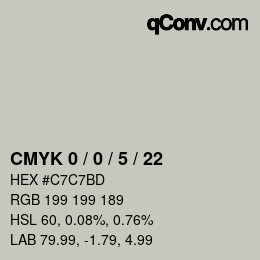 Color code: CMYK 0 / 0 / 5 / 22 | qconv.com