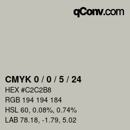 Color code: CMYK 0 / 0 / 5 / 24 | qconv.com