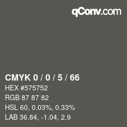 Color code: CMYK 0 / 0 / 5 / 66 | qconv.com