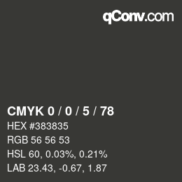 カラーコード: CMYK 0 / 0 / 5 / 78 | qconv.com