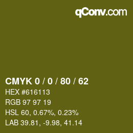 Color code: CMYK 0 / 0 / 80 / 62 | qconv.com