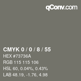 Color code: CMYK 0 / 0 / 8 / 55 | qconv.com