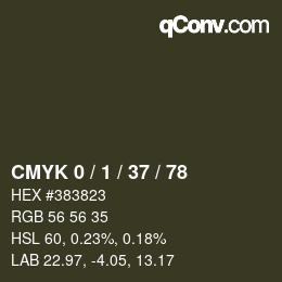 Color code: CMYK 0 / 1 / 37 / 78 | qconv.com