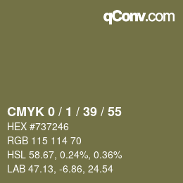 Color code: CMYK 0 / 1 / 39 / 55 | qconv.com