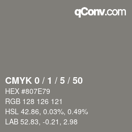 Color code: CMYK 0 / 1 / 5 / 50 | qconv.com