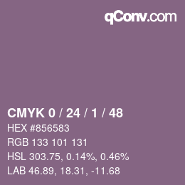 Color code: CMYK 0 / 24 / 1 / 48 | qconv.com