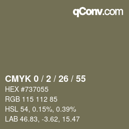 Color code: CMYK 0 / 2 / 26 / 55 | qconv.com