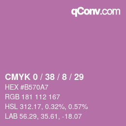 Color code: CMYK 0 / 38 / 8 / 29 | qconv.com