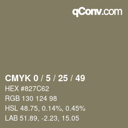 Color code: CMYK 0 / 5 / 25 / 49 | qconv.com