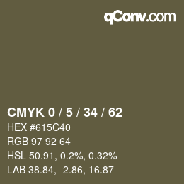 Color code: CMYK 0 / 5 / 34 / 62 | qconv.com