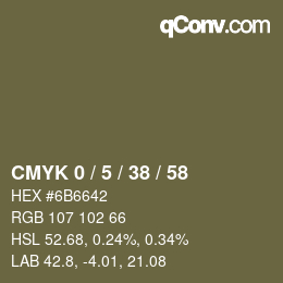 Color code: CMYK 0 / 5 / 38 / 58 | qconv.com