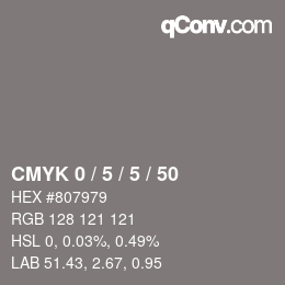 Color code: CMYK 0 / 5 / 5 / 50 | qconv.com