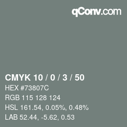 Color code: CMYK 10 / 0 / 3 / 50 | qconv.com