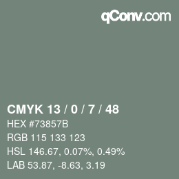 Color code: CMYK 13 / 0 / 7 / 48 | qconv.com