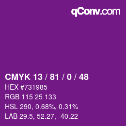 Color code: CMYK 13 / 81 / 0 / 48 | qconv.com
