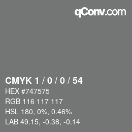 Color code: CMYK 1 / 0 / 0 / 54 | qconv.com