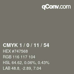 Color code: CMYK 1 / 0 / 11 / 54 | qconv.com