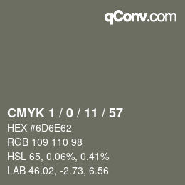 Color code: CMYK 1 / 0 / 11 / 57 | qconv.com