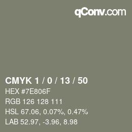 Color code: CMYK 1 / 0 / 13 / 50 | qconv.com