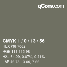 Color code: CMYK 1 / 0 / 13 / 56 | qconv.com