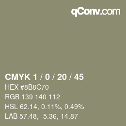 Color code: CMYK 1 / 0 / 20 / 45 | qconv.com